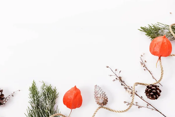 크리스마스나 가을 구성. 투자 가지, 눈 위의 원추체, 기종 (氣腫) 위의 모습, 평평 한 면, 복사 공간 — 스톡 사진