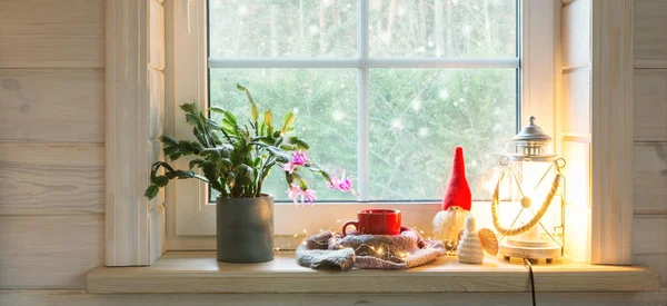 Lanterna natalizia, angelo, gnomo natalizio, cactus natalizio e tazza rossa sulla finestra di una casa in legno con vista sul giardino d'inverno. — Foto Stock