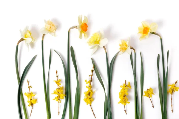 Cadre printanier de petites fleurs et marguerites, arrangement floral — Photo