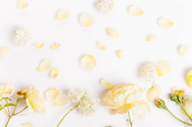 Çiçek kompozisyonu. Romantik sarı gül çiçeklerinden yapılmış çerçeve ve beyaz arka planda patentler