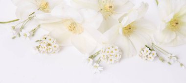 Çiçek kompozisyonu. Beyaz arka planda pembe şakayık çiçeklerinden yapılmış çerçeve. Düz konum, üst görünüm, kopyalama alanı