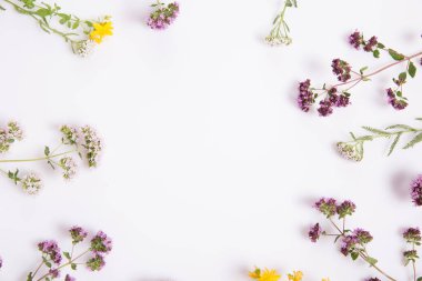 Alternatif tıp. Şifalı otlar kekik otu, beyaz arka planda St. Johns otu, adaçayı, kiraz ağacı.