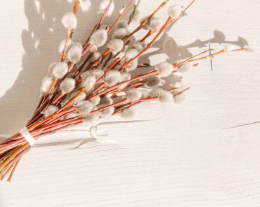 Pussy willow branches on a white wooden background and harsh shadows. Spring, Easter concept. Flat lay, top view, rustic style