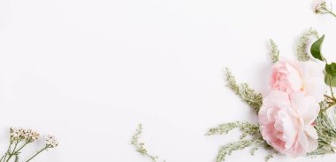 Çiçek kompozisyonu. Beyaz arka planda pembe gül çiçeklerinden yapılmış çerçeve. Düz yatış, üst görünüm