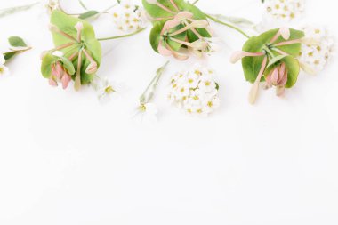 Çiçekler ve okaliptüs kompozisyonu. Beyaz arka planda çeşitli renkli çiçeklerden oluşan desen. Düz yaşam stiil yatıyordu.