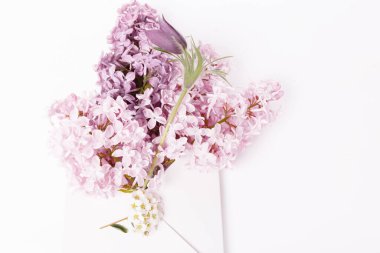 Pembe bir zarf içinde leylak demeti, beyaz arka planda bahar selamı. Düz yatış, üst görünüm