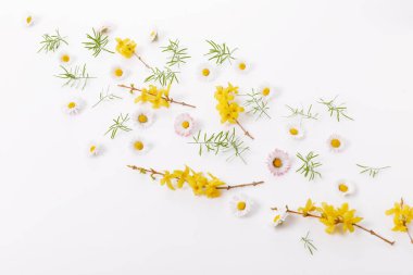 Küçük çiçekli bahar çerçevesi ve papatya, çiçek aranjmanı