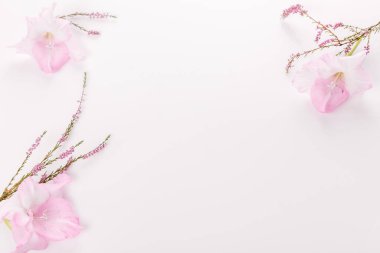 Romantik pankart, zarif pembe egzotik çiçekler yakın plan. Kokulu pembe yapraklar, soyut aşk geçmişi, pastel ve yumuşak çiçek kartı.