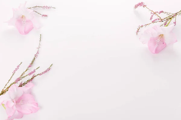 Bandera romántica, delicadas flores exóticas de color rosa blanco de cerca. Pétalos rosados fragantes, fondo romántico abstracto, pastel y tarjeta de flores suaves — Foto de Stock