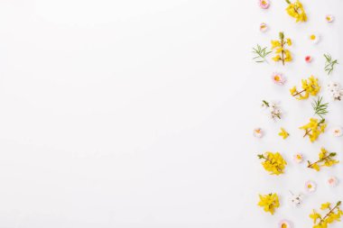 Küçük çiçekli bahar çerçevesi ve papatya, çiçek aranjmanı