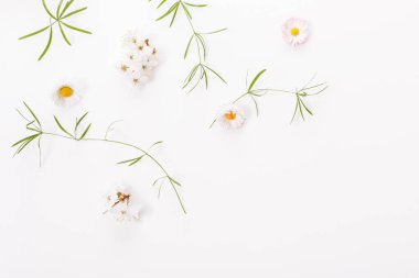 Küçük çiçekli bahar çerçevesi ve papatya, çiçek aranjmanı