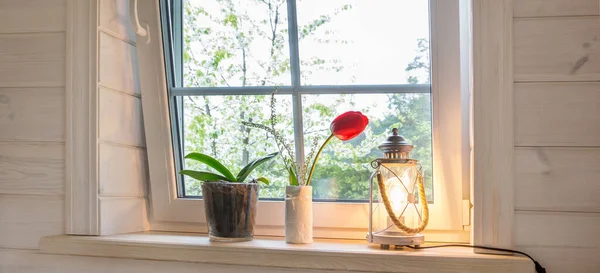 White window with mosquito net in a rustic wooden house overlooking blooming spring garden, pine forest.