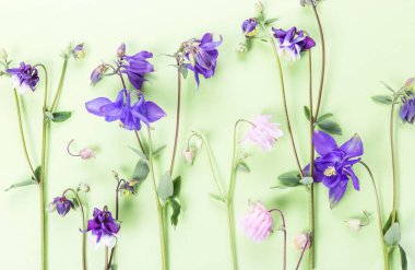 Küçük çiçeklerden oluşan bahar çerçevesi, yeşil arka planda çiçek aranjmanı