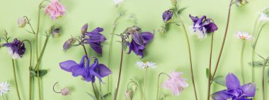 Küçük çiçeklerden oluşan bahar çerçevesi, yeşil arka planda çiçek aranjmanı