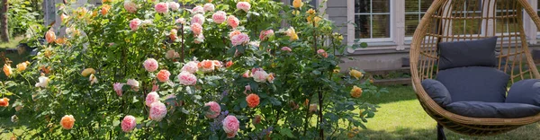 Set von Luxus-Weidenmöbeln im Garten-Patio — Stockfoto