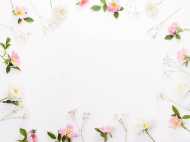 Beyaz arka planda şenlikli çiçek yaban mersini kompozisyonu. Üst manzara, düz yatış. Boşluğu kopyala.