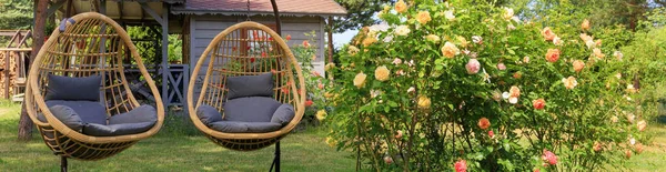 Zwei Rattan-Kokon-Korbsessel in der Nähe blühender Rosen im Hinterhof im Sommer — Stockfoto