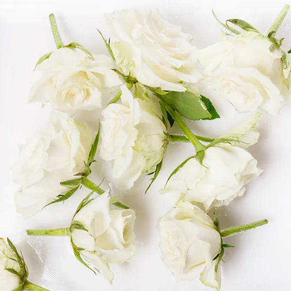 Hermosas rosas blancas voladoras flores en fondo de agua, diseño floral creativo, horizontal. —  Fotos de Stock