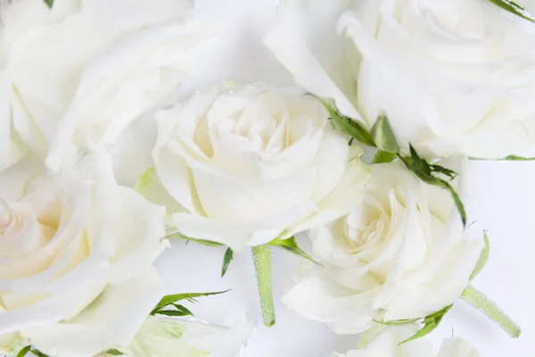 Hermosas rosas blancas voladoras flores en fondo de agua, diseño floral creativo, horizontal. —  Fotos de Stock