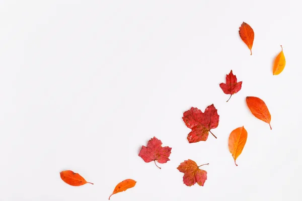 Kompozycja jesienna.Ramka wykonana z jesiennych suchych wielokolorowych liści na białym tle. Jesień, jesień koncepcja. Płaskie ułożenie, widok z góry, przestrzeń do kopiowania — Zdjęcie stockowe