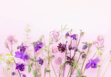 Küçük çiçeklerin bahar çerçevesi, pembe arka planlarda çiçek aranjmanı.