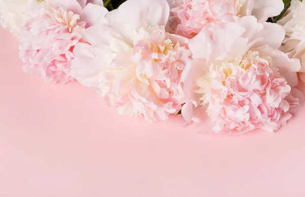 Festive flower pink peony composition on the pink background. Overhead top view, flat lay. Copy space. — Stock Photo, Image