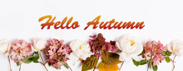 Witam jesienna tapeta, jesienne tło z różową różą i hortensją — Zdjęcie stockowe