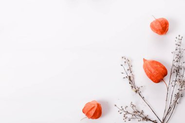 Sonbahar kompozisyonu turuncu filsalis ve beyaz arkaplanda kuru sonbahar dallarından yapılmıştır. Sonbahar, sonbahar konsepti.