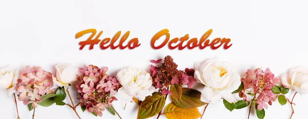 Witam Październik tapety, jesienne tło z różową różą bordowy i hortensji — Zdjęcie stockowe