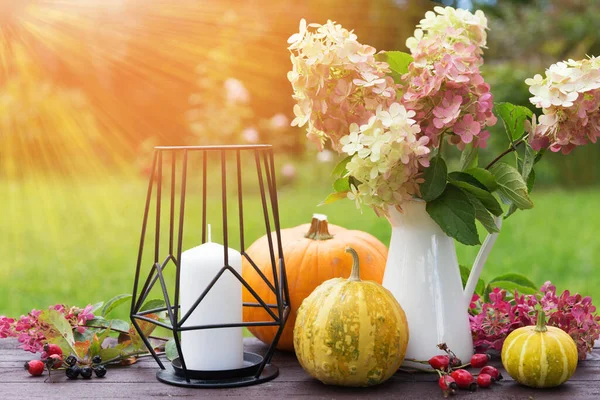 Podzimní hortenzie květiny a zralé oranžové dýně, podzimní útulný zátiší. Den díkůvzdání, mabon, halloween dovolená koncept. — Stock fotografie