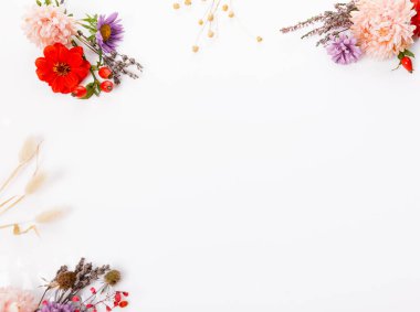 Asterlar, yıldız çiçekleri, lavanta, kuru çimenler, beyaz arka planda gül kalçaları, fotokopi alanı ile düz stil, şükran günü için şablon, Cadılar Bayramı, tüm azizler günü, hasat festivali