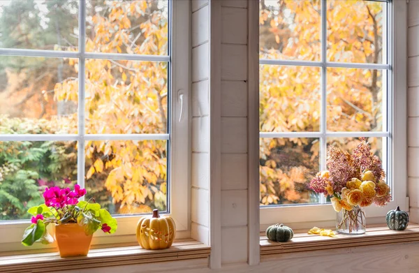 Autumn hygge interior with window view of golden leaves, cozy home decor, pumpkins and seasonal bouquet on windowsill, rustic slow living style, thanksgiving, halloween, autumn equinox, harvest festival