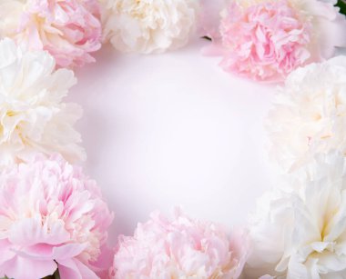 Yumuşak Pembe Beyaz Düğün Fotokopi Alanlı Kare Şakayık Çiçek Çerçevesi