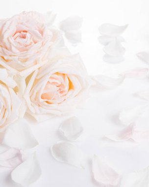 Kopya Boşluğu ile Dikey Yumuşak Romantik Düğün Gülü Arkaplanı