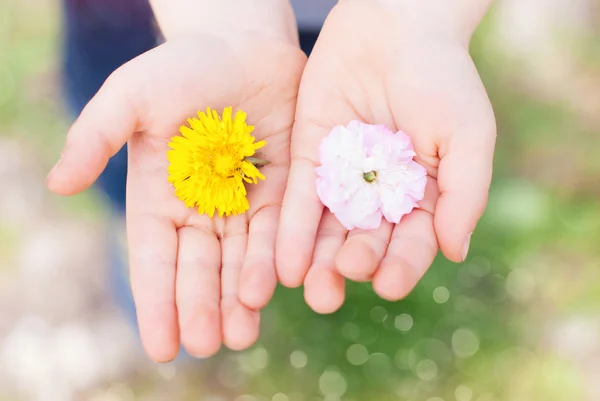 Kid a segurar flores nas mãos. Conceito de Crianças Felizes. Ambientes — Fotografia de Stock