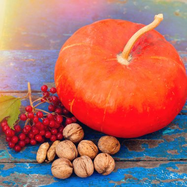 Mavi ahşap arka plan - sonbahar kırsal hasat üzerinde kabak fındık kartopu