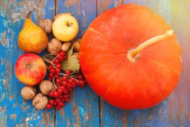 Mavi ahşap arka plan - sonbahar kırsal hasat üzerinde kabak fındık kartopu