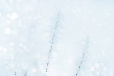 Kış arka plan. Karlı arka plan