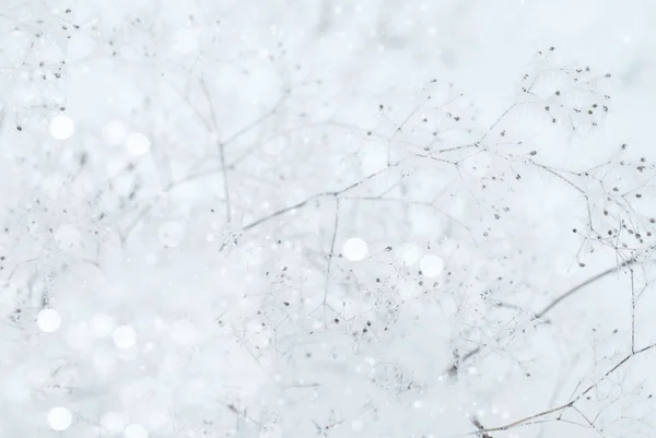 Winter frostig schneebedeckt Hintergrund — Stockfoto