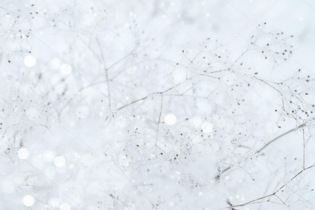 Winter Frosty Snowy Background