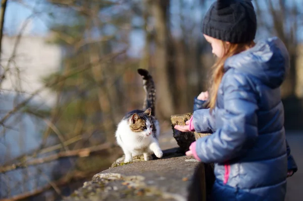 Menina bonito conheceu um gato ao ar livre — Fotografia de Stock