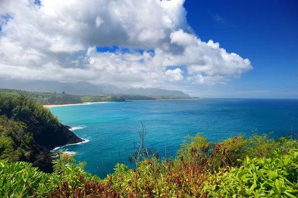 Krásná krajina ostrova Kauai — Stock fotografie