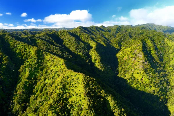 View of spectacular jungles — Stock Photo, Image