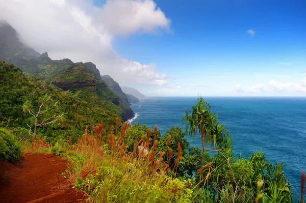 Kalalau stezka v kauai — Stock fotografie