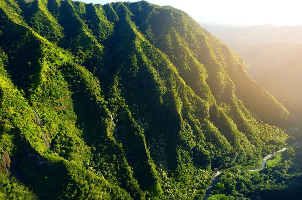 Vue aérienne de jungles spectaculaires — Photo