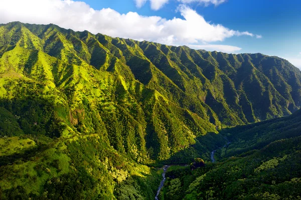 Vista aérea de espectaculares selvas — Foto de Stock