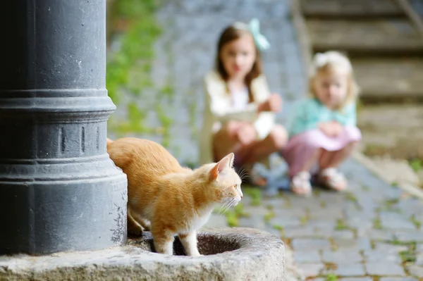 Två barn och katt — Stockfoto