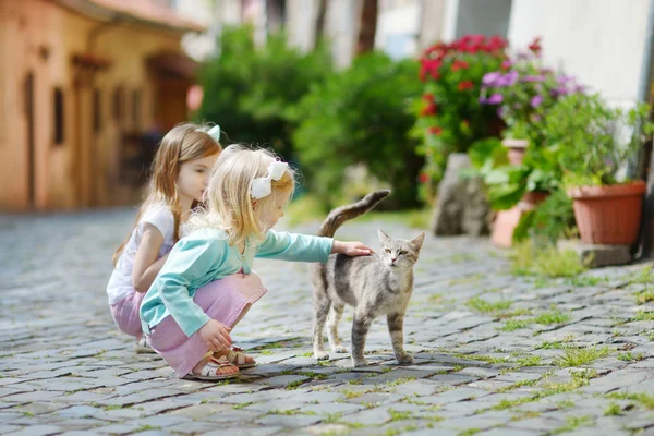 Sevimli küçük kız ve kedi — Stok fotoğraf