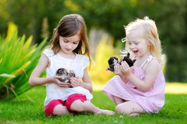 küçük yavru kedi ile oynarken kız 