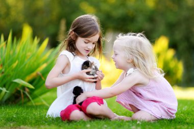 küçük yavru kedi ile oynarken kız 